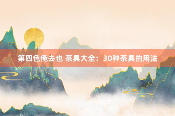 第四色俺去也 茶具大全：30种茶具的用法
