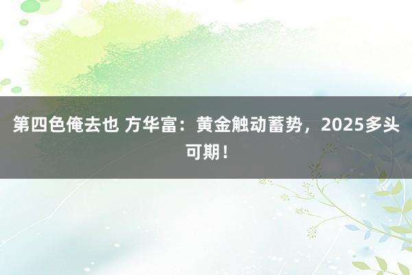 第四色俺去也 方华富：黄金触动蓄势，2025多头可期！