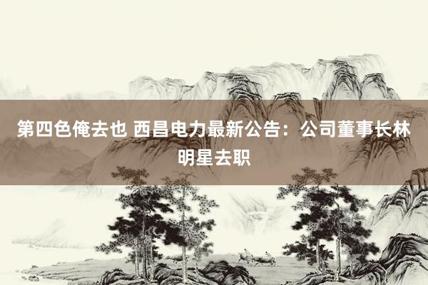 第四色俺去也 西昌电力最新公告：公司董事长林明星去职