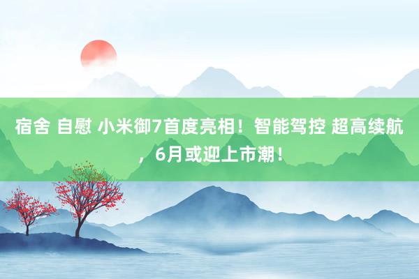 宿舍 自慰 小米御7首度亮相！智能驾控 超高续航，6月或迎上市潮！