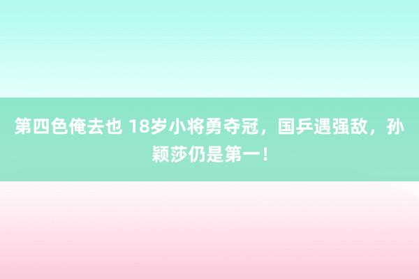 第四色俺去也 18岁小将勇夺冠，国乒遇强敌，孙颖莎仍是第一！