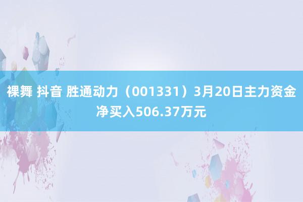 裸舞 抖音 胜通动力（001331）3月20日主力资金净买入506.37万元
