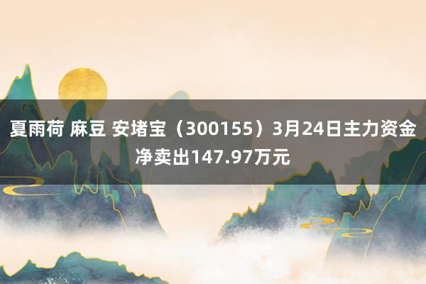 夏雨荷 麻豆 安堵宝（300155）3月24日主力资金净卖出147.97万元