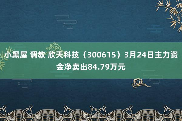 小黑屋 调教 欣天科技（300615）3月24日主力资金净卖出84.79万元