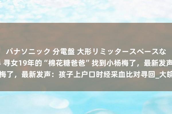 パナソニック 分電盤 大形リミッタースペースなし 露出・半埋込両用形 寻女19年的“棉花糖爸爸”找到小杨梅了，最新发声：孩子上户口时经采血比对寻回_大皖新闻 | 安徽网