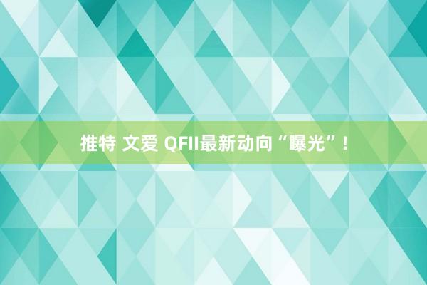 推特 文爱 QFII最新动向“曝光”！