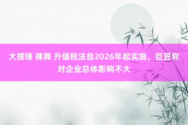 大摆锤 裸舞 升值税法自2026年起实施，巨匠称对企业总体影响不大